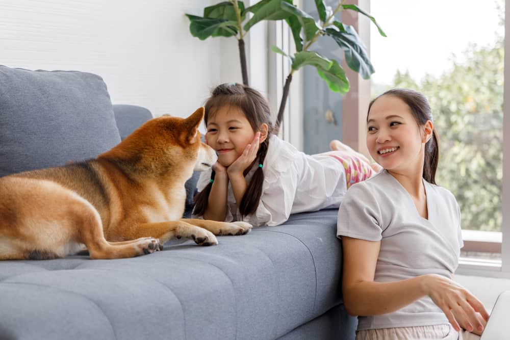 Mother and daughter playing with a dog in their condo living room