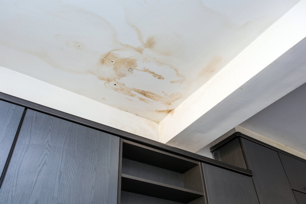 Brown to yellowish stains on a white ceiling indicate poor quality or structural damage in a condo unit.