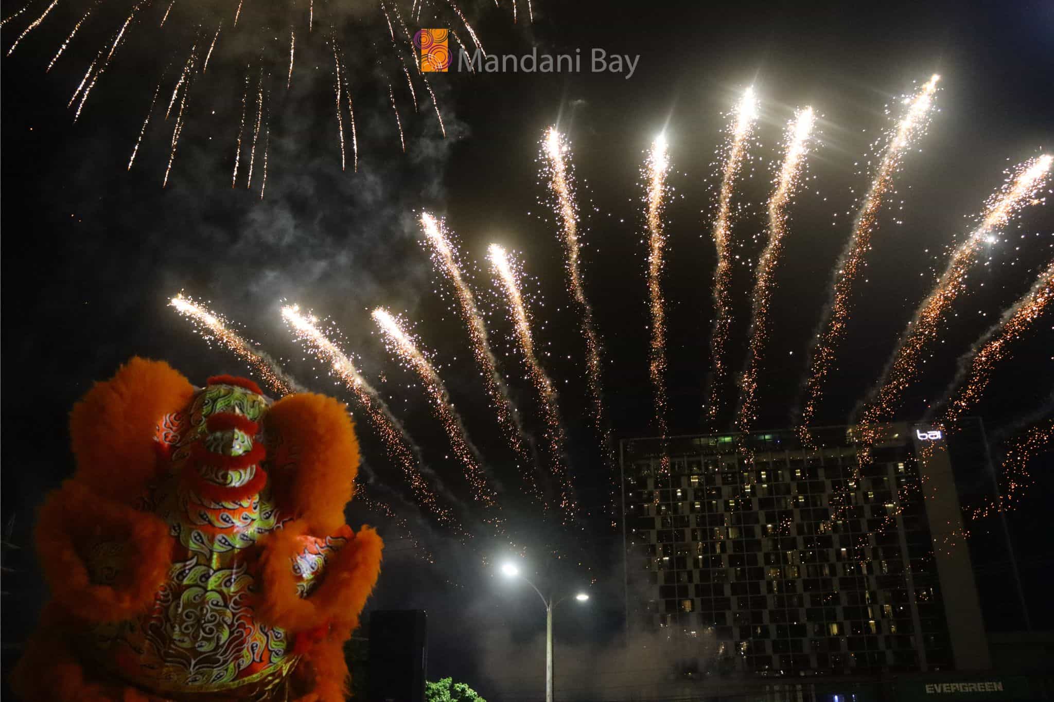 Chinese dragon with fireworks in background